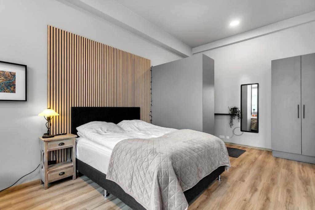 Charming Studio Apartment Reikiavik Exterior foto